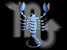 zodia scorpion